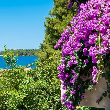 Up To 7 People,near And Centre * Rovinj